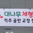 대나무체형교정 이미지