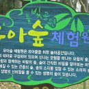 이화숲유치원 이미지