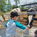 명암목장 이미지