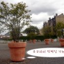 쵸코파이민박 Daum카페