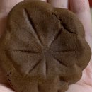 NR-7[동해대로]-하-248 | 속초 1박2일 여행 (맛집,숙소,꿀팁)