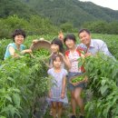 봉하농촌 체험마을 이미지