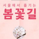 꽃길만걷자 이미지