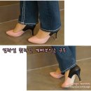 비비드포인 이미지