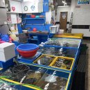 조은상회 이미지