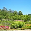 푸른수목원 이미지