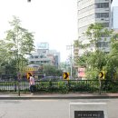 베드로교회 인근 Daum카페