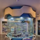 꿈나무교통나라 이미지