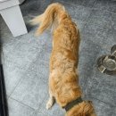 바른길동물병원 이미지