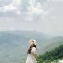 가비장의 이미지