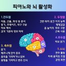 이엘피아노음악학원 이미지