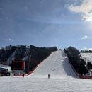 비발디렌통령 이미지