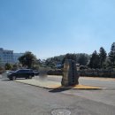 모슬포고등어 | 노형동 맛집 | 제주 공항 10분 거리 제주시 횟집 모슬포고등어 솔직 방문 후기