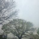 영오캠핑장 이미지