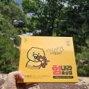 신한대학교 폴리마테스대학원 | 신한대학교 대학원 종합시험 직장인이 다니기 좋은 대학원
