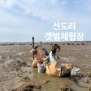 팔봉 갯벌체험장 화장실 | 서천 선도리 갯벌체험장 후기 |물때 시간, 준비물, 체험 꿀팁 총정리