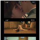 개를 품은 남자 이미지