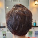 더 볼륨 이미지