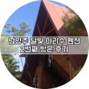 별빛아리수 이미지