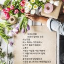 혜경 - 마포구 월드컵북로38가길 20 | 혜경