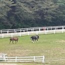 가을목장 이미지