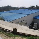 풍산태사로(서후면) 이미지