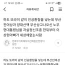부산진여자상업고등학교 이미지