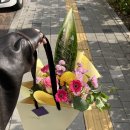 수원-1044 | 수원 인계동 감성꽃집 플레바리 한 끗 다른 고급스러운 꽃다발 선물 후기