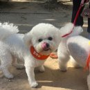 멍더캐슬 이미지