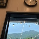충주댐칼국수