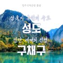 주식회사 성도 네이버블로그