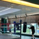 클린히트 복싱 짐 이미지