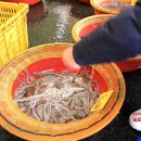 해양수산복합센터 이미지