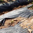 윤호농장 이미지