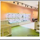 부산고양이분양 브라비펫 펫스테이션점 이미지