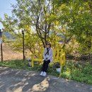 안흥농장 | 충남 당일치기 코스 보령여행 1일차 : 청라은행마을, 보령머드테마파크, 대천해수욕장