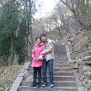온화한사람들 Daum카페