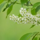 진이발관 이미지