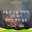 [4월 4일(토) 인사] 오늘은 淸明이고 내일은 寒食 이미지