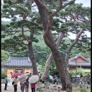 😃재미 있는 한자😃[제5,521회] 이미지