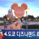도쿄 디즈니랜드 &amp; 디즈니씨 입장권 최저가 구매 하기! -나리타공항 수령-
