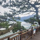 아라가야냉면 - 거제시 거제대로 997 | 아라가야냉면