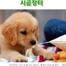 시골장터 - 창원시 진해구 이동로72번길 12 | 시골장터