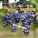 신림역토네이도전자담배