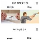 Google vs bing 검색엔진 대결 이미지