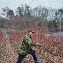 재삼농장 이미지