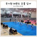경희대도전태권도장 | 덕현초 태권도 경희대상승태권도 1품 심사 도전기 두 달간의 구슬땀
