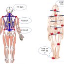 테라피피부관리실 이미지