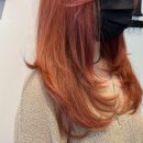 헤어 온 이미지