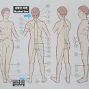 유미테라피